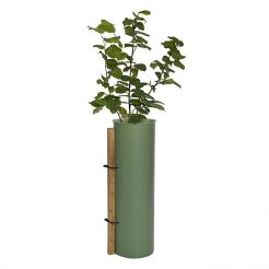 Tubex Tree Shelters & Tubes | Tree & Shrub Protection | British ...