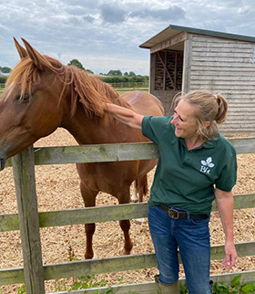 Bransby Horses